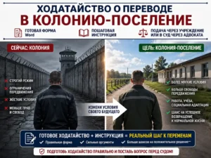 Ходатайство о замене вида исправительного учреждения на колонию-поселение. А также пошаговая инструкция